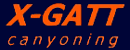 X-gatt