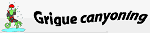 Grigue
